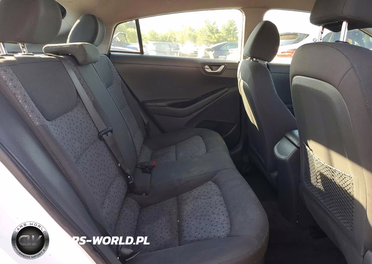 2019 Hyundai Ioniq Blue VIN:KMHC65LC0KU163334 - 10