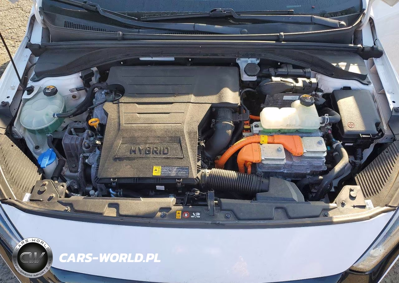 2019 Hyundai Ioniq Blue VIN:KMHC65LC0KU163334 - 11