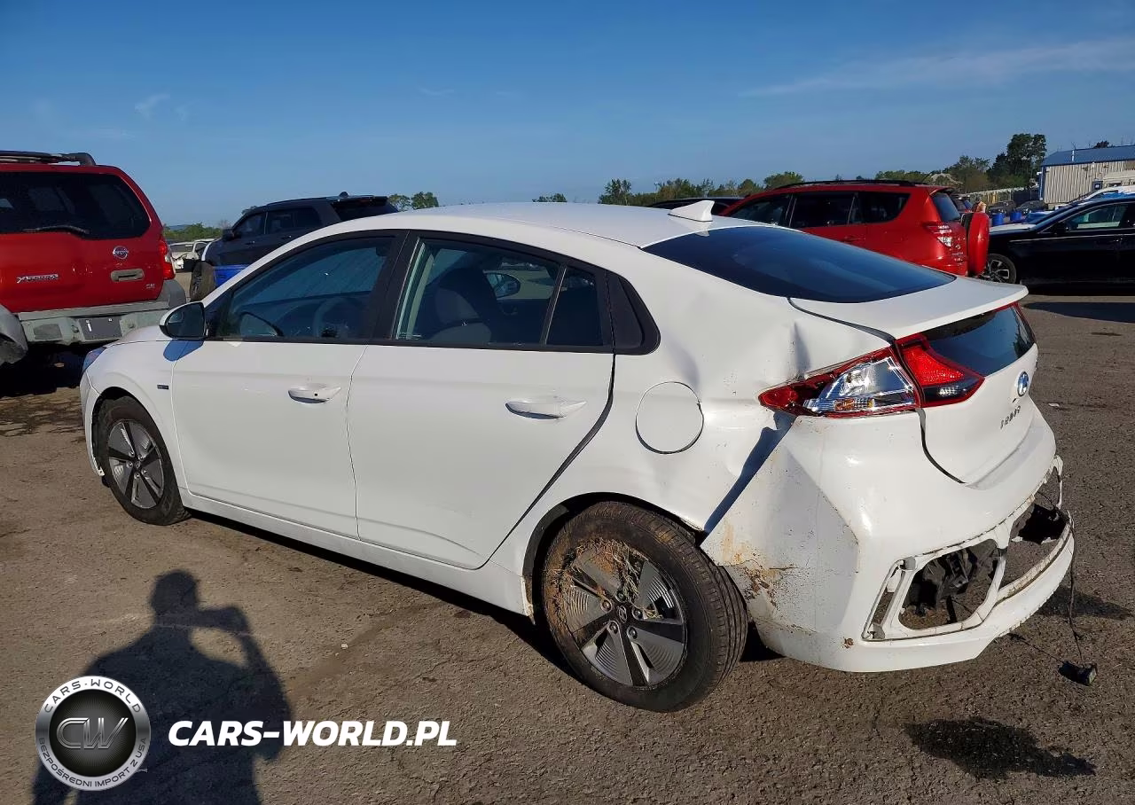 2019 Hyundai Ioniq Blue VIN:KMHC65LC0KU163334 - 2