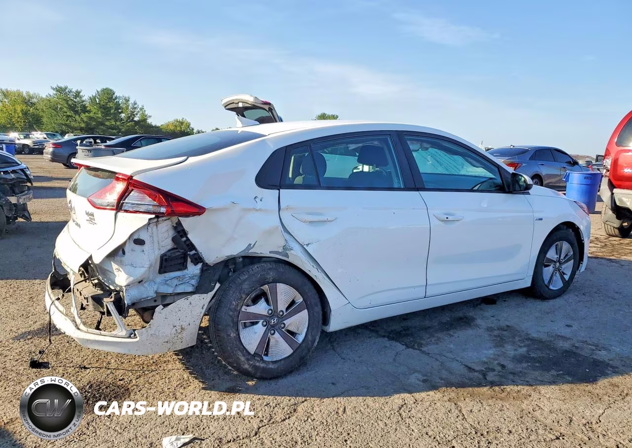 2019 Hyundai Ioniq Blue VIN:KMHC65LC0KU163334 - 3