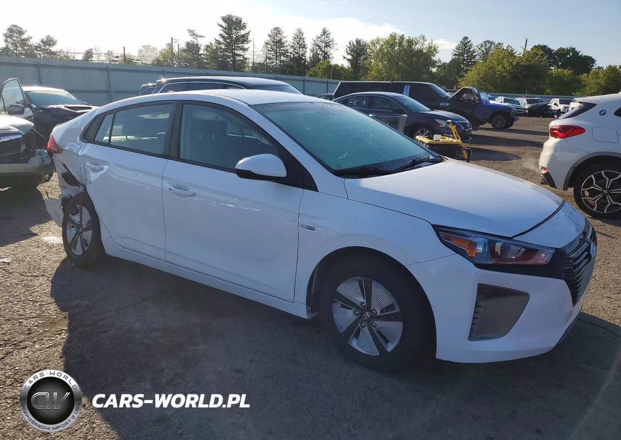 2019 Hyundai Ioniq Blue VIN:KMHC65LC0KU163334 - 4