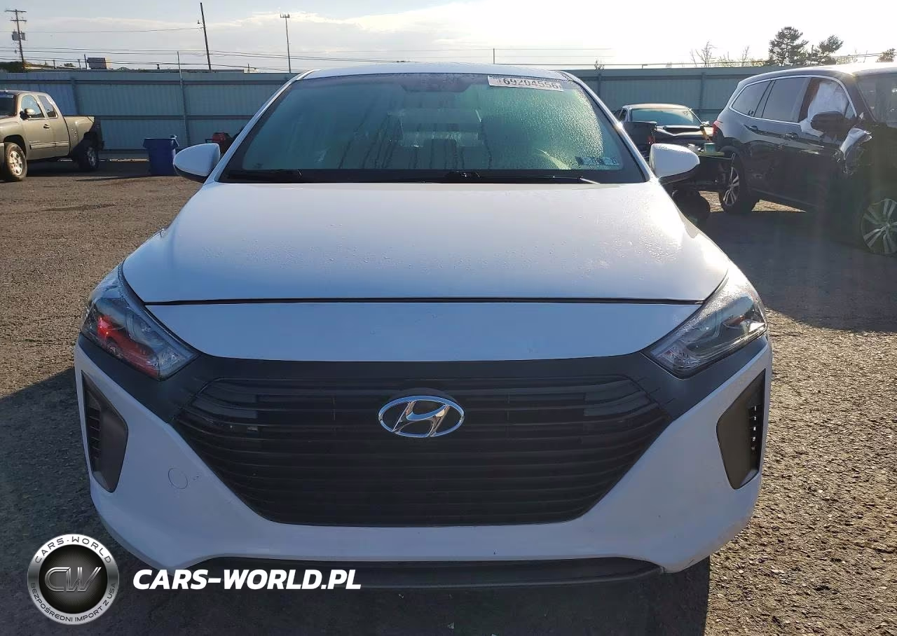 2019 Hyundai Ioniq Blue VIN:KMHC65LC0KU163334 - 5