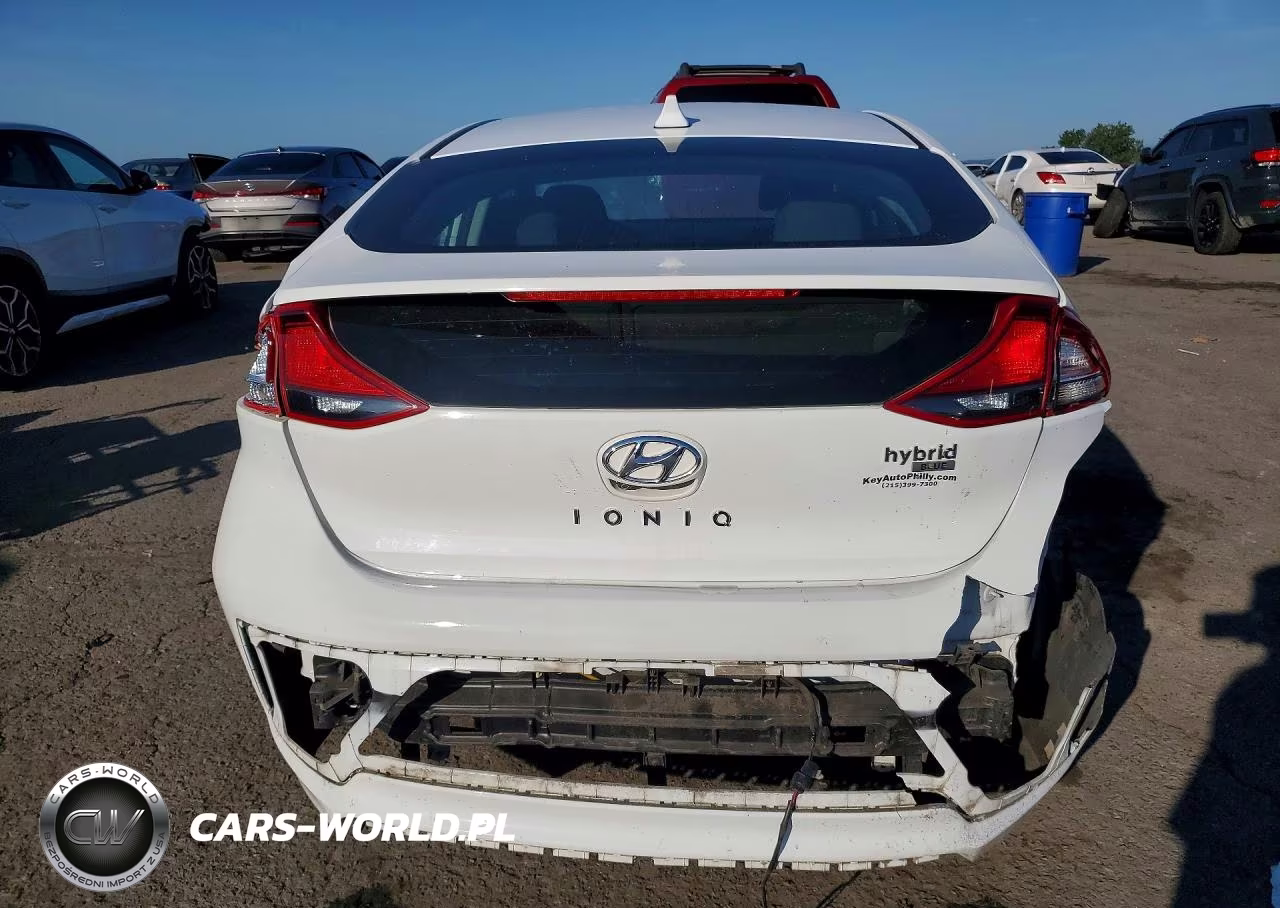 2019 Hyundai Ioniq Blue VIN:KMHC65LC0KU163334 - 6