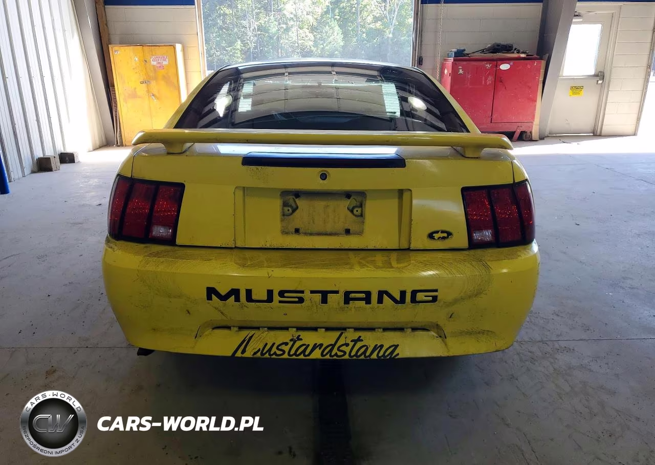 2001 Ford Mustang VIN:1FAFP40461F248290 - 6