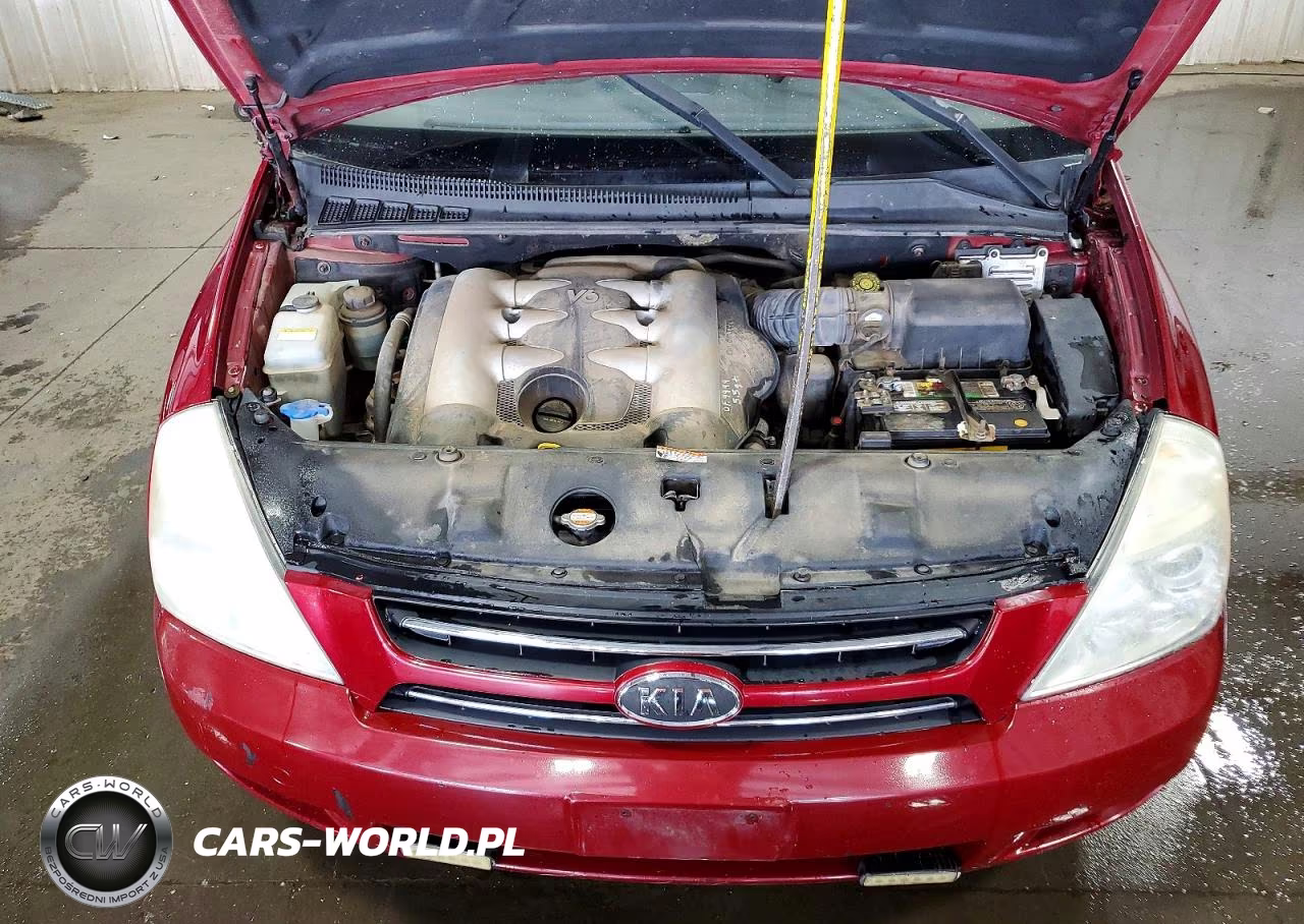 2007 Kia Sedona Base VIN:KNDMB233076175210 - 12