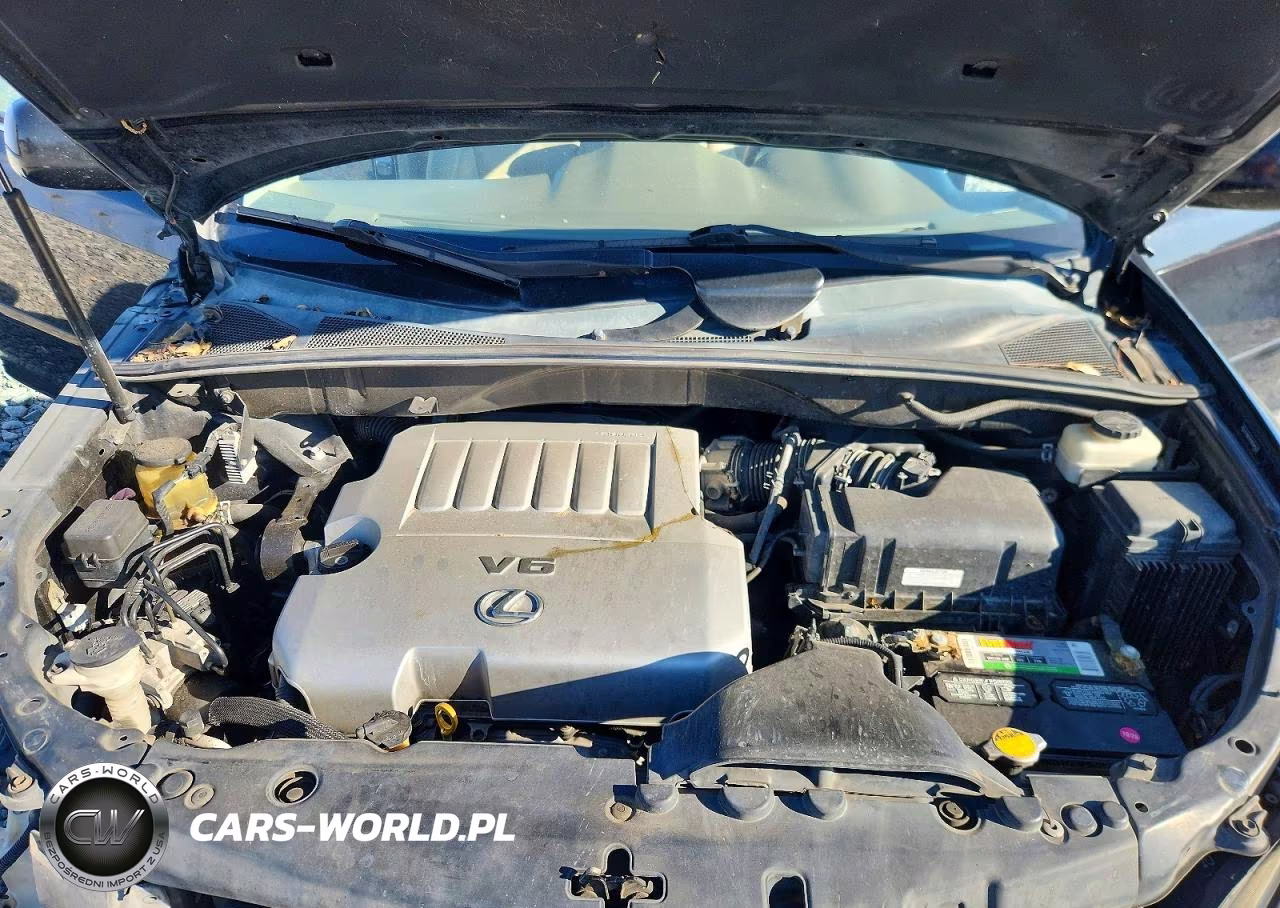 2009 Lexus Rx 350 VIN:2T2GK31U29C081643 - 12