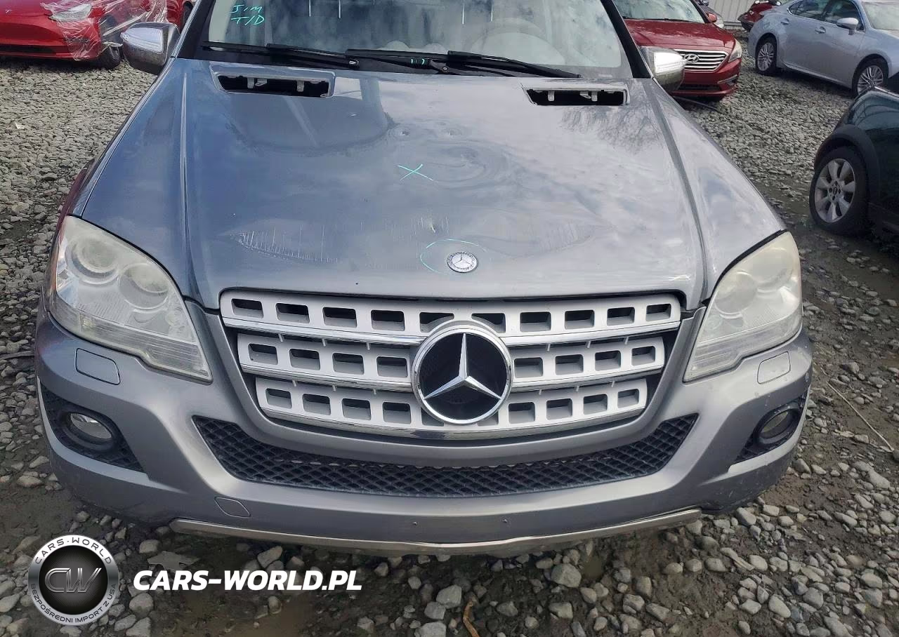 2010 Mercedes-Benz Ml 350 Bluetec VIN:4JGBB2FB6AA577565 - 11