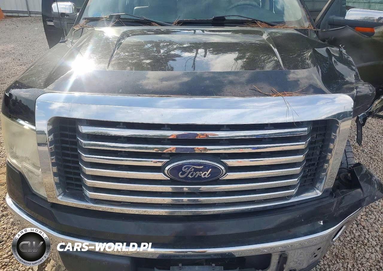2010 Ford F150 Supercrew VIN:1FTFW1CV8AFA93578 - 11