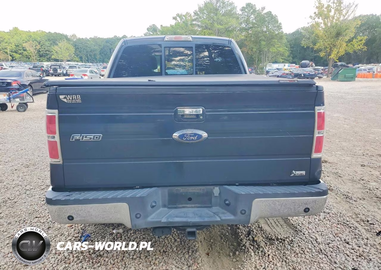 2010 Ford F150 Supercrew VIN:1FTFW1CV8AFA93578 - 6