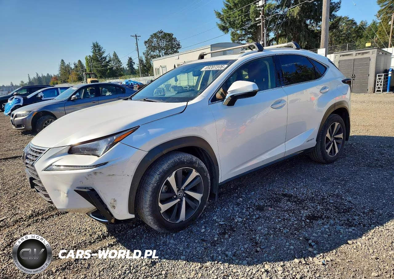 2019 Lexus Nx 300H