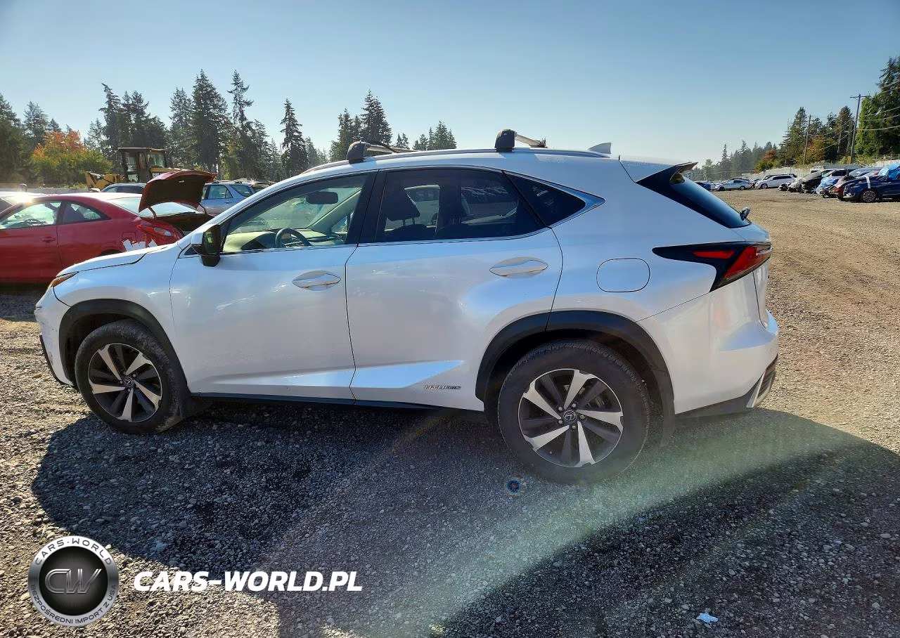 2019 Lexus Nx 300H VIN:JTJBJRBZ0K2106393 - 2