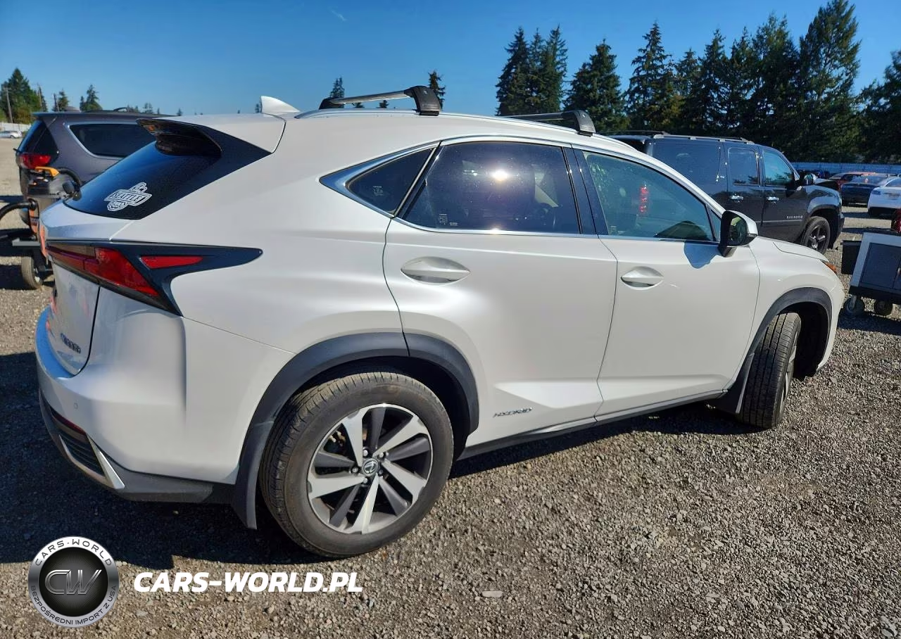 2019 Lexus Nx 300H VIN:JTJBJRBZ0K2106393 - 3