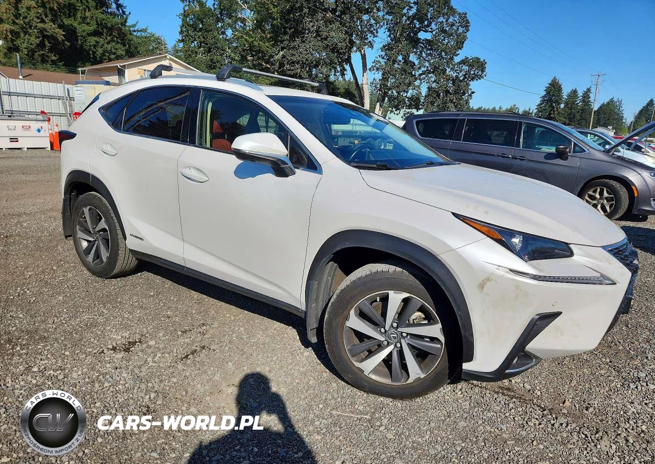 2019 Lexus Nx 300H VIN:JTJBJRBZ0K2106393 - 4