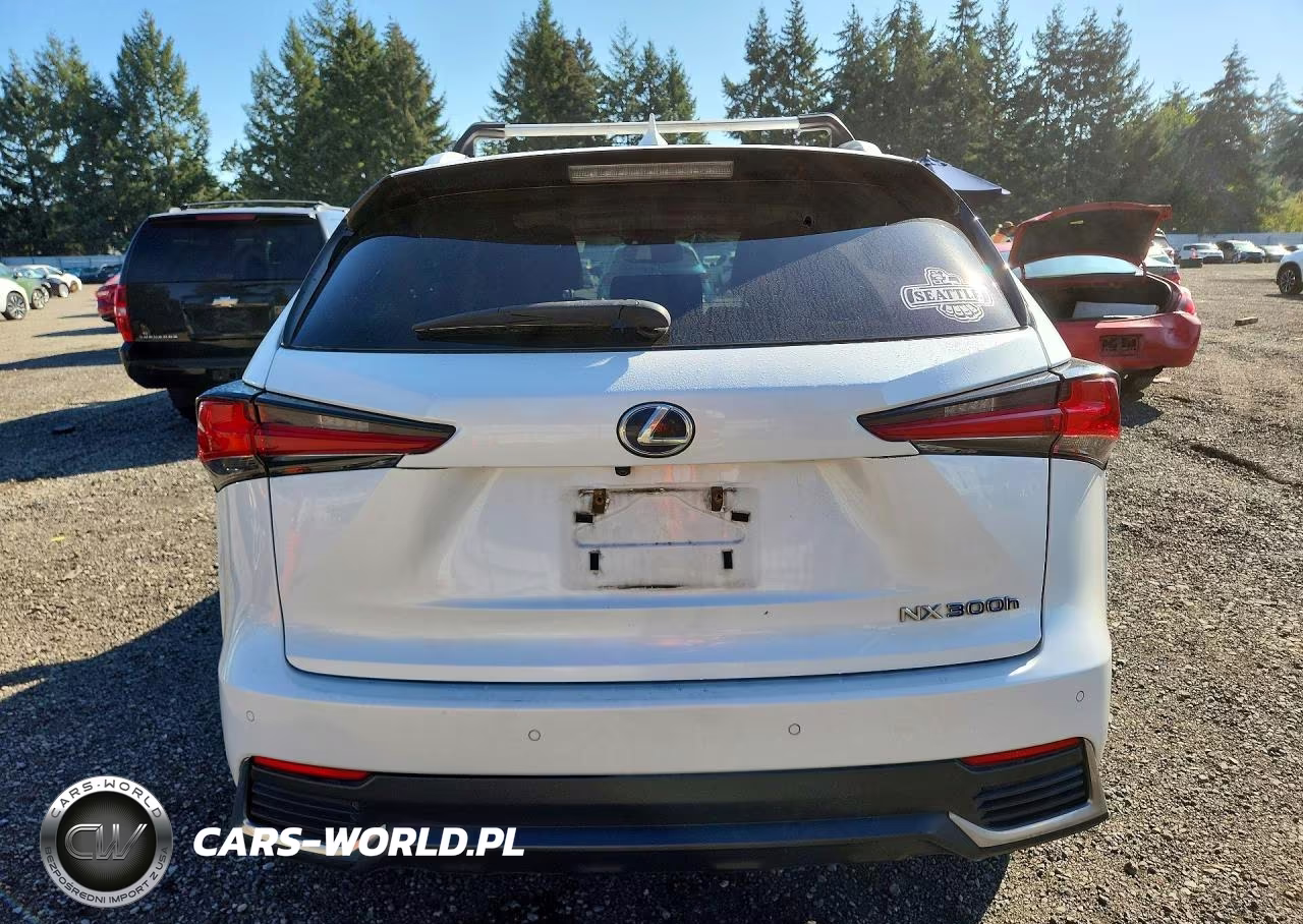 2019 Lexus Nx 300H VIN:JTJBJRBZ0K2106393 - 6