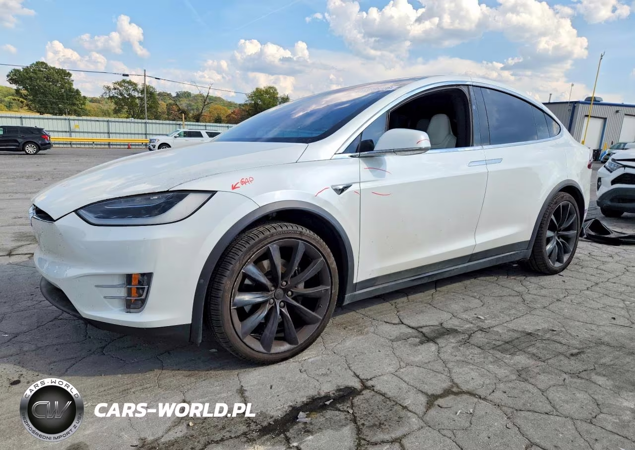 2019 Tesla Model X