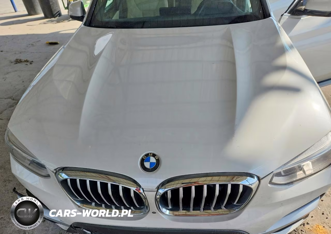 2019 BMW X3 Sdrive30I VIN:5UXTR7C57KLF29564 - 11