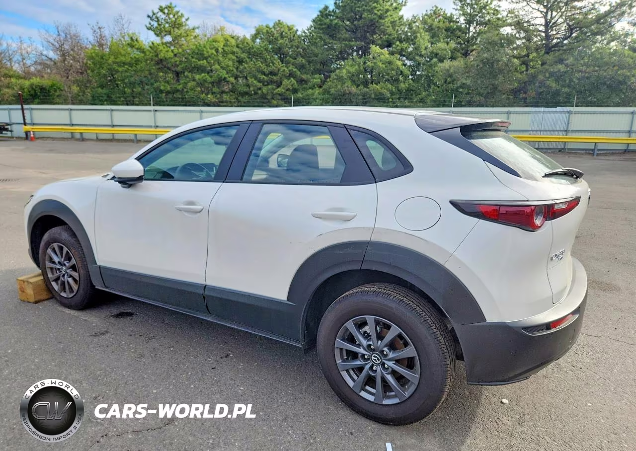 2026 Mazda Cx-30 VIN:3MVDMBAL7TM137043 - 2