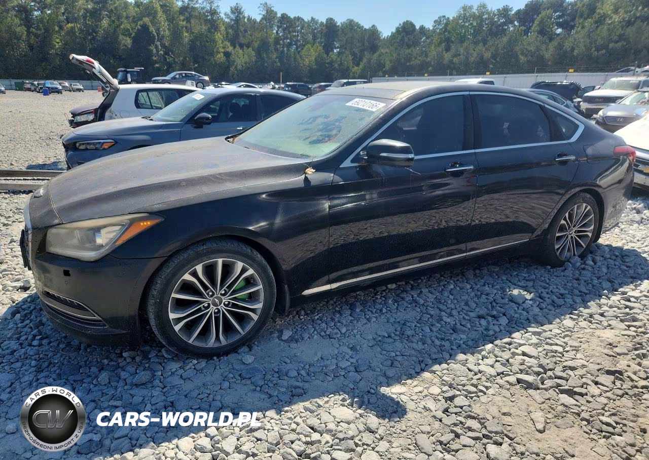 2015 Hyundai Genesis 3.8 VIN:KMHGN4JE6FU084209 - 1