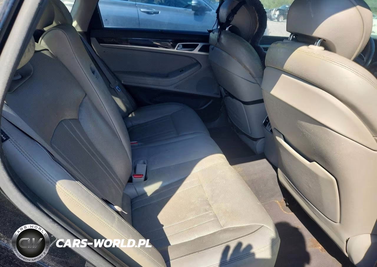 2015 Hyundai Genesis 3.8 VIN:KMHGN4JE6FU084209 - 10