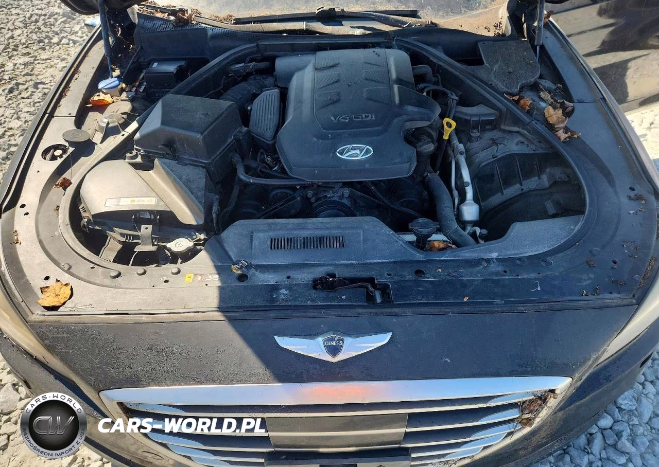 2015 Hyundai Genesis 3.8 VIN:KMHGN4JE6FU084209 - 11