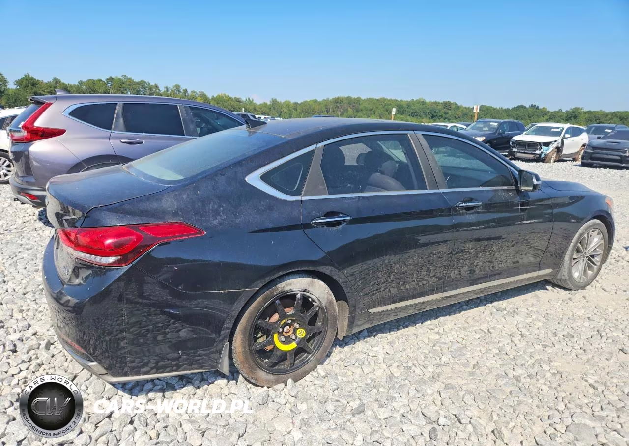 2015 Hyundai Genesis 3.8 VIN:KMHGN4JE6FU084209 - 3