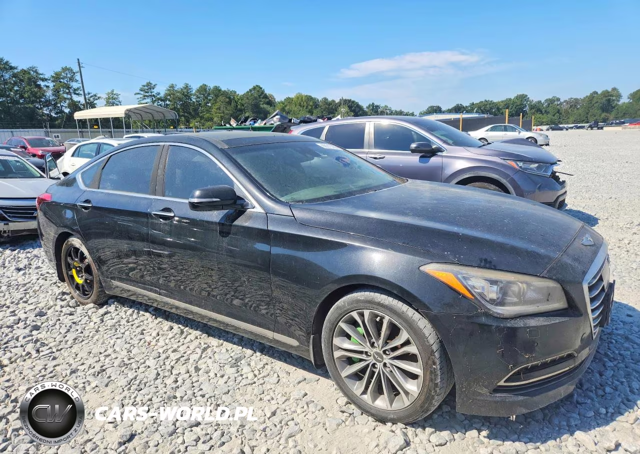 2015 Hyundai Genesis 3.8 VIN:KMHGN4JE6FU084209 - 4