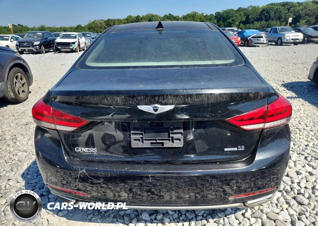 2015 Hyundai Genesis 3.8 VIN:KMHGN4JE6FU084209 - 6