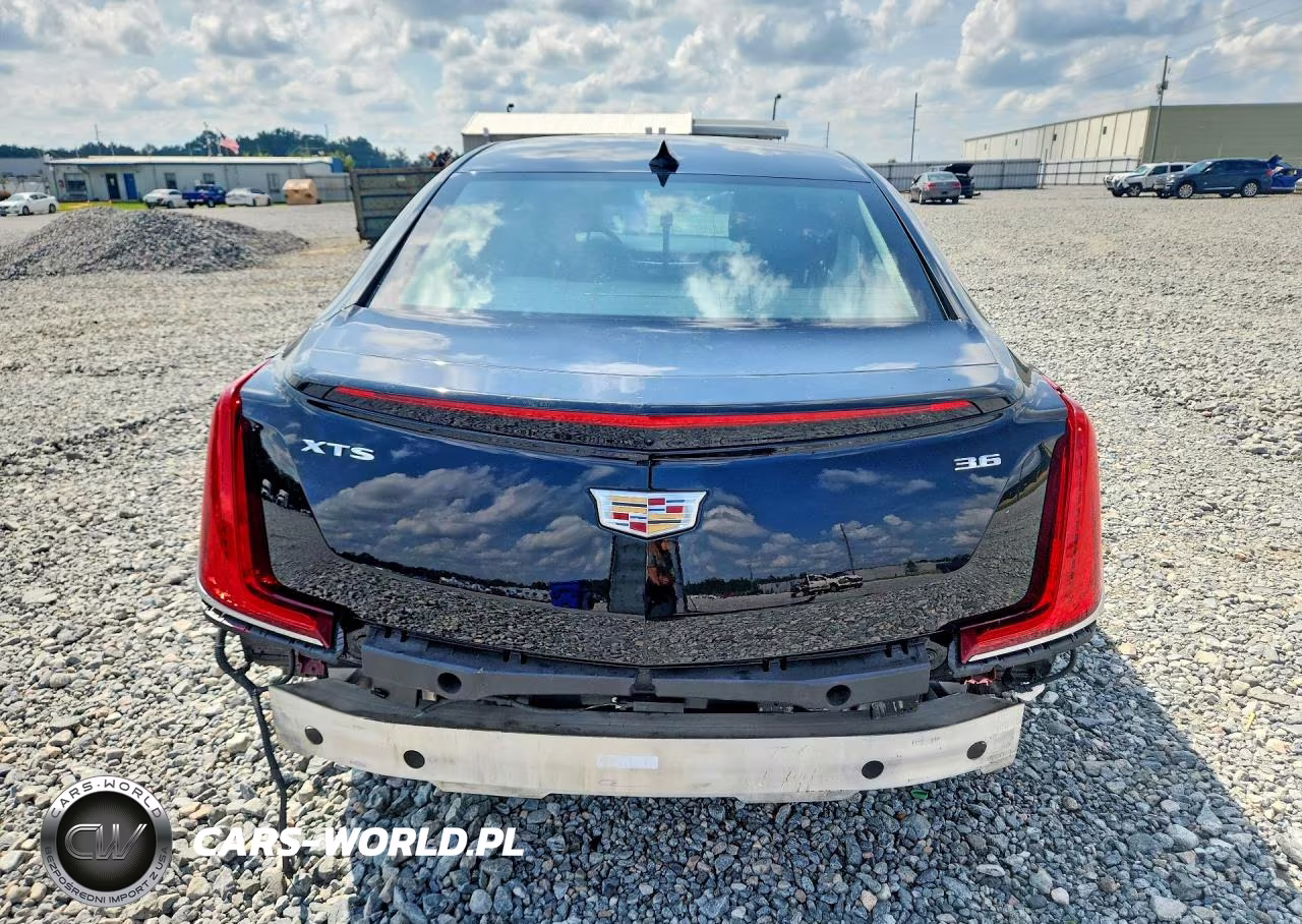 2019 Cadillac Xts Luxury VIN:2G61M5S37K9138000 - 6