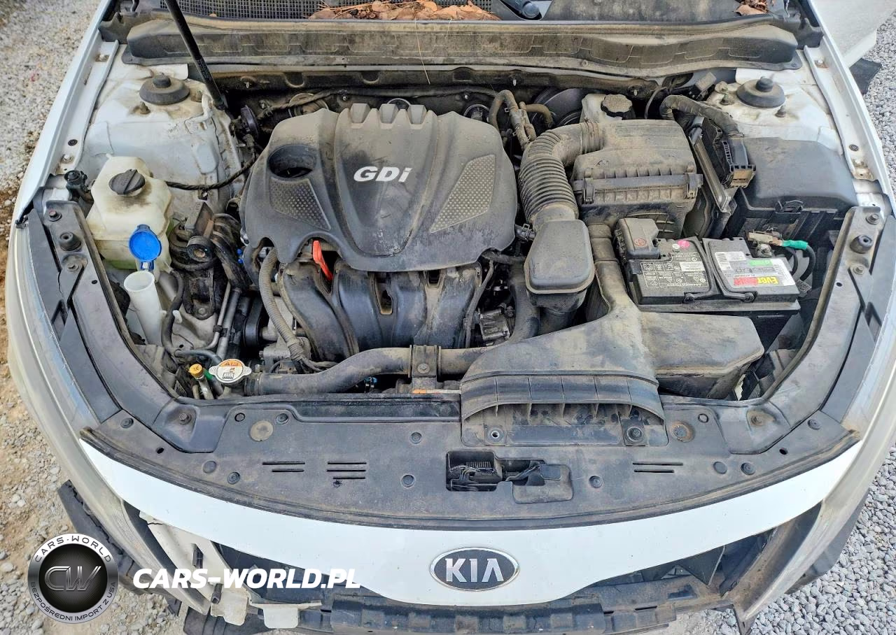 2015 Kia Optima Ex VIN:5XXGN4A76FG423899 - 11