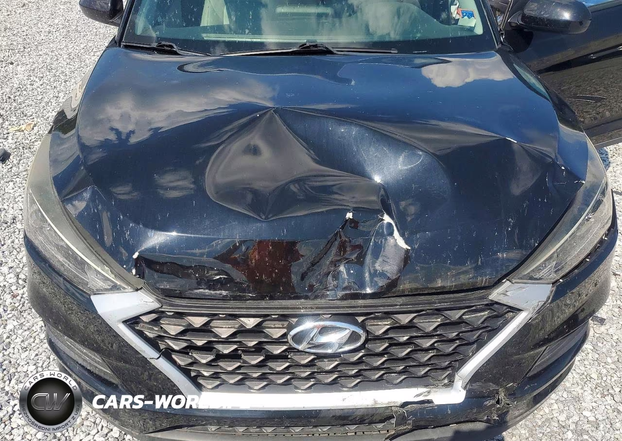 2020 Hyundai Tucson Value VIN:KM8J33A49LU260789 - 12