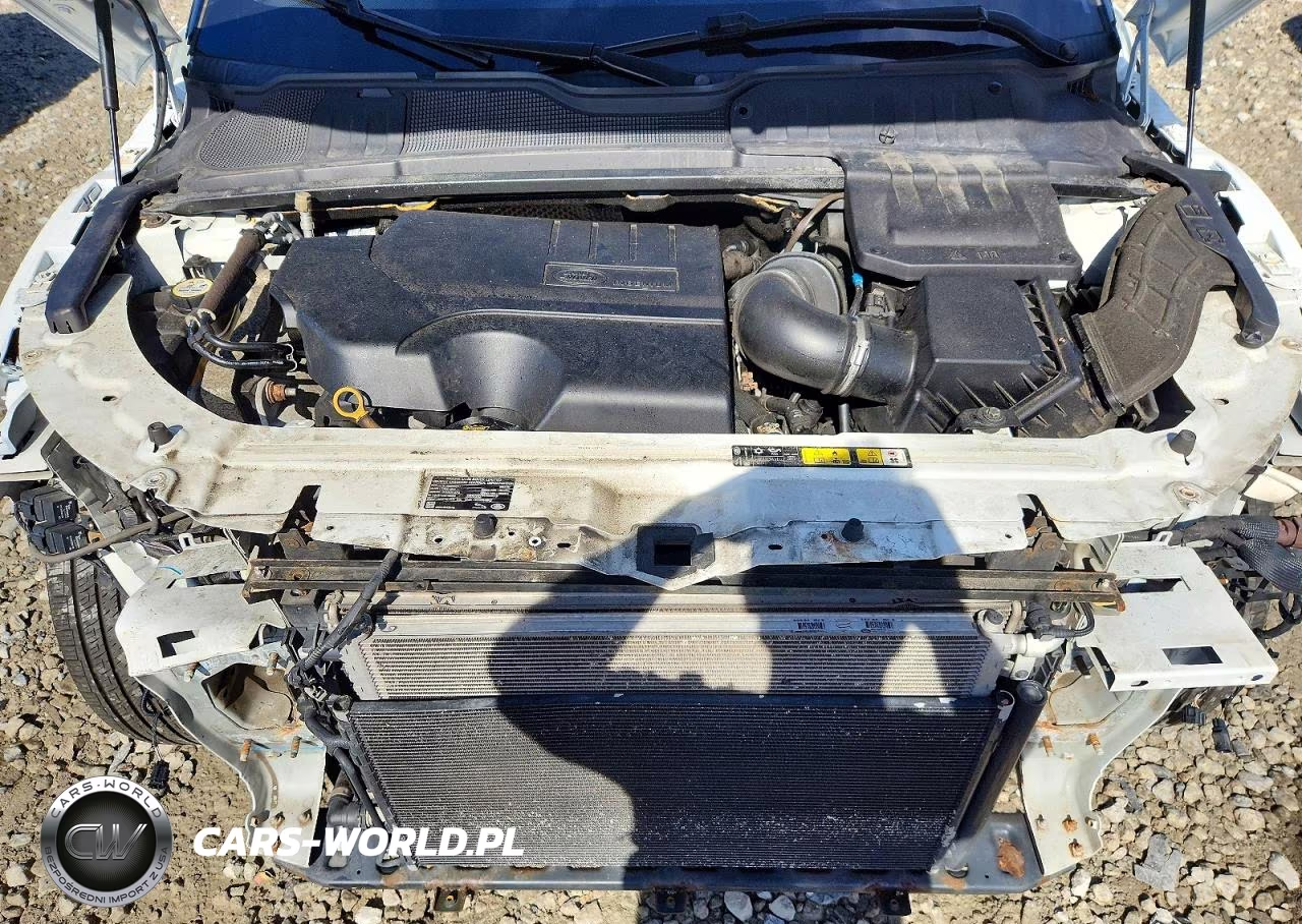 2019 Land Rover Range Rover Evoque Se VIN:SALVP2RX0KH347032 - 12