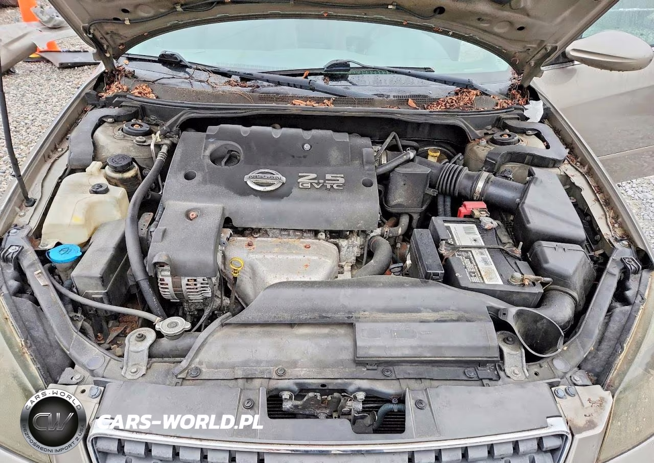 2005 Nissan Altima 2.5 VIN:1N4AL11D25C165921 - 11