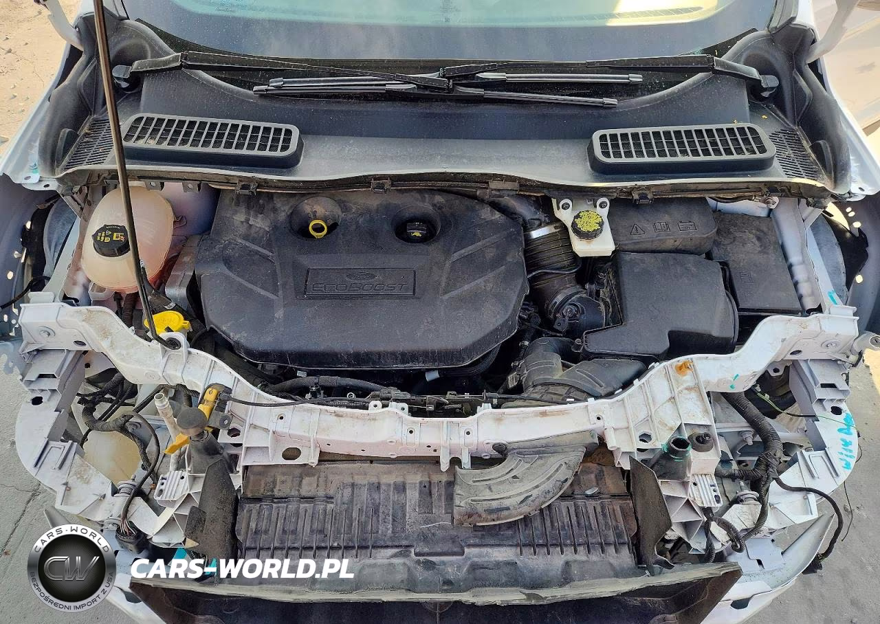 2019 Ford Escape Titanium VIN:1FMCU0J91KUC51986 - 12