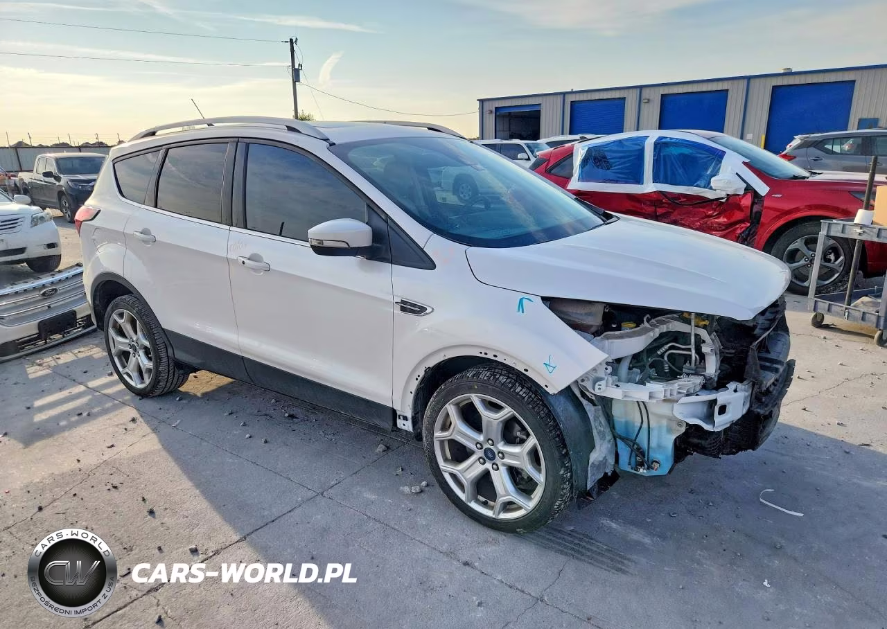 2019 Ford Escape Titanium VIN:1FMCU0J91KUC51986 - 4