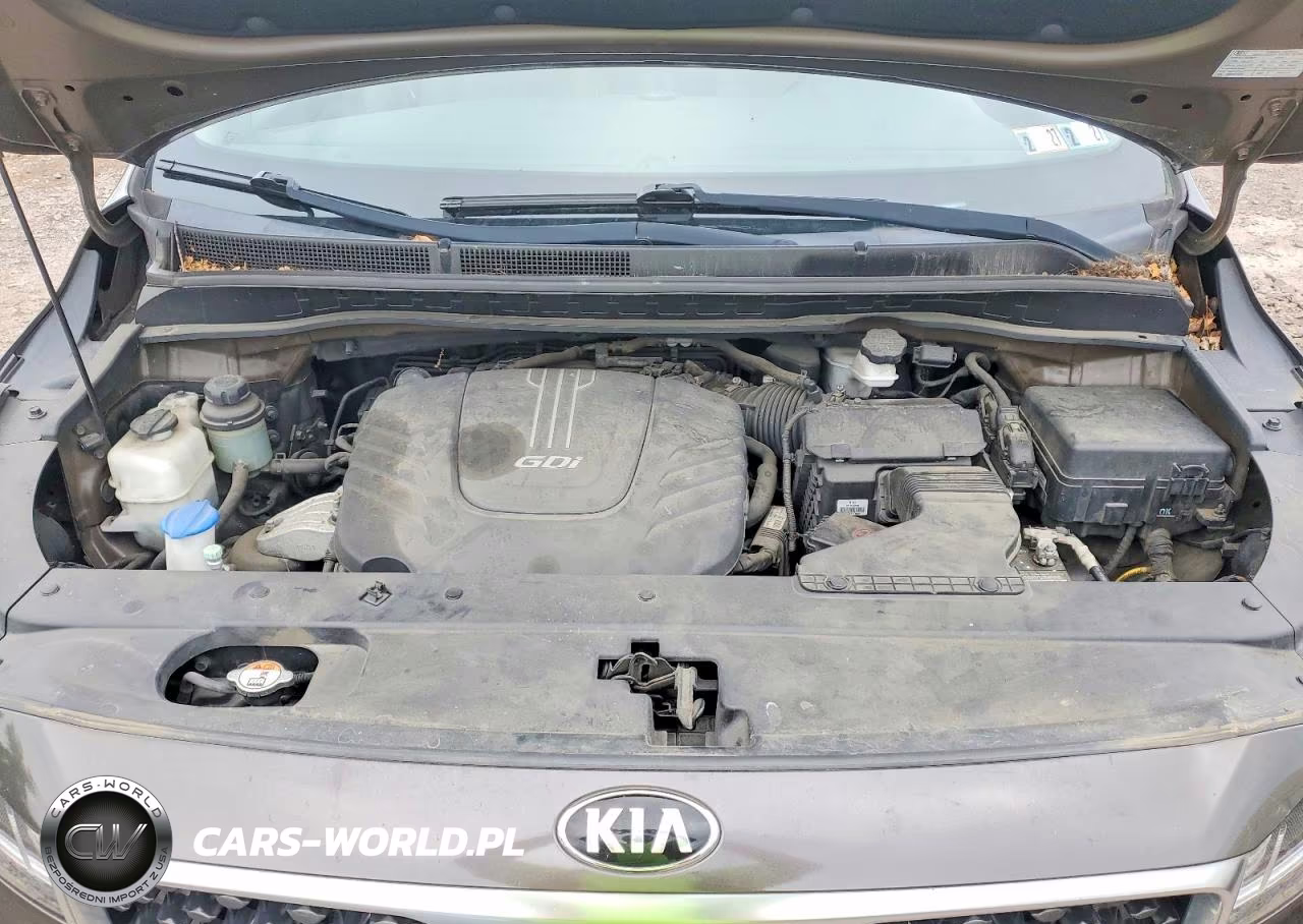2016 Kia Sedona Lx VIN:KNDMB5C18G6126031 - 12