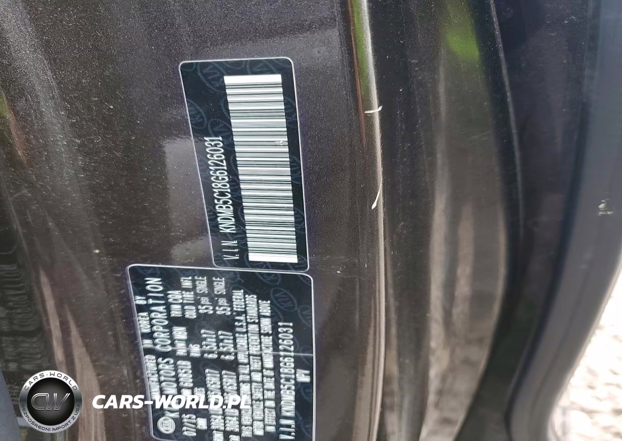 2016 Kia Sedona Lx VIN:KNDMB5C18G6126031 - 13