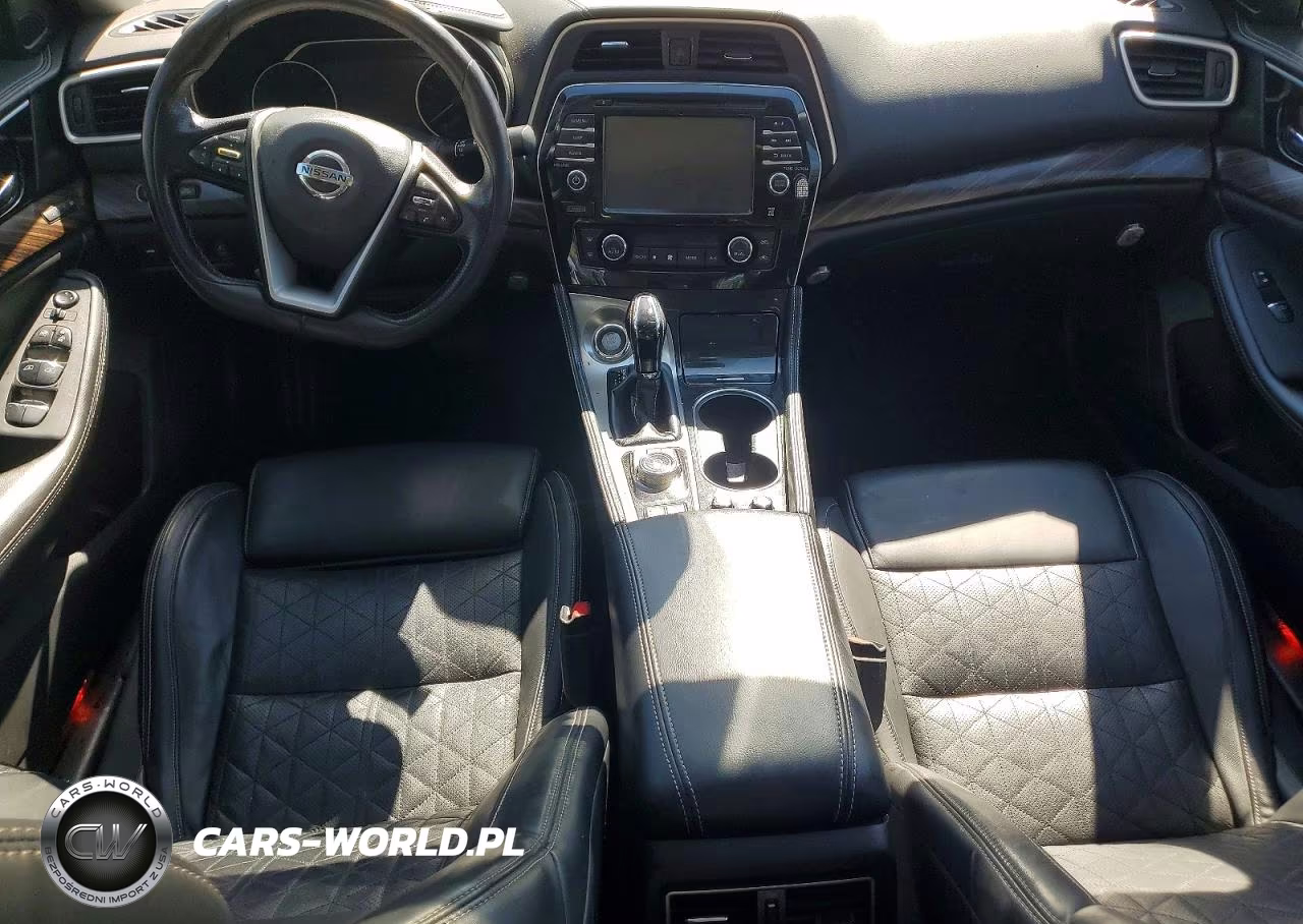 2016 Nissan Maxima Platinum VIN:1N4AA6AP1GC379251 - 8