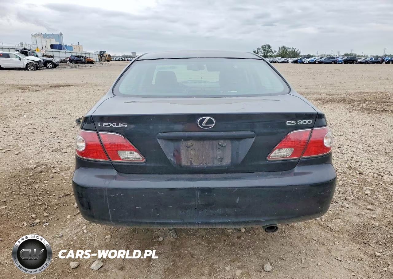2002 Lexus Es 300 VIN:JTHBF30G820033920 - 6