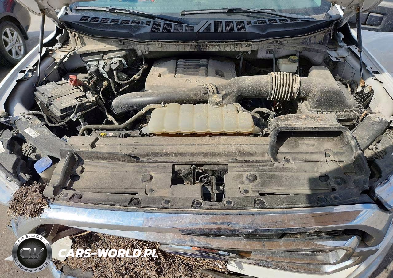 2023 Ford F150 Supercrew VIN:1FTFW1E80PFC49953 - 11