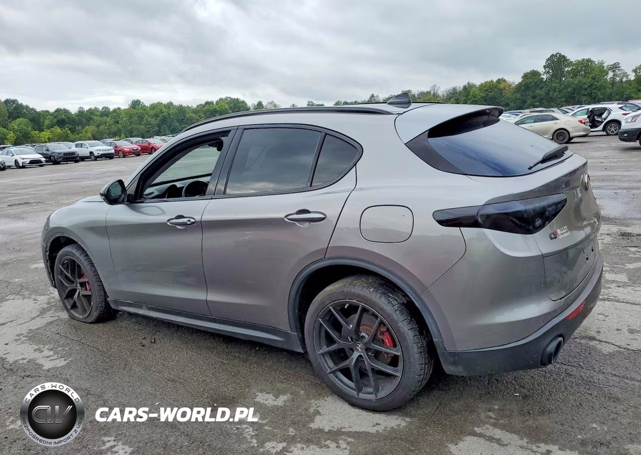 2019 Alfa Romeo Stelvio VIN:ZASPAKAN4K7C38940 - 2