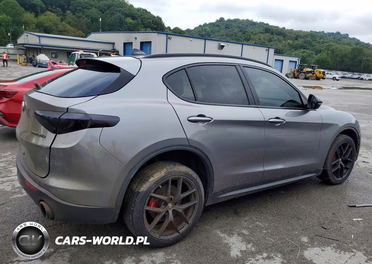 2019 Alfa Romeo Stelvio VIN:ZASPAKAN4K7C38940 - 3