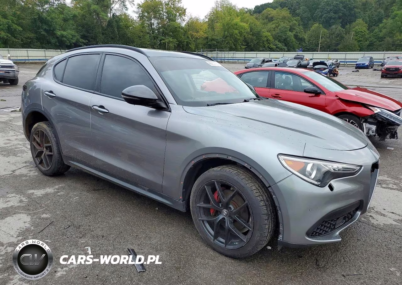 2019 Alfa Romeo Stelvio VIN:ZASPAKAN4K7C38940 - 4