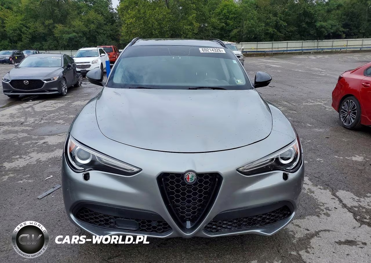 2019 Alfa Romeo Stelvio VIN:ZASPAKAN4K7C38940 - 5