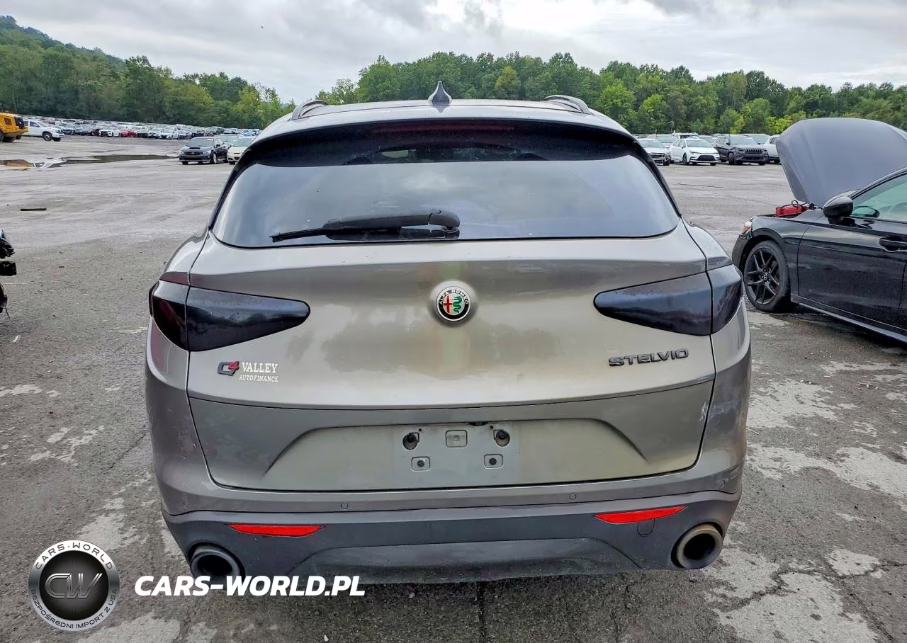 2019 Alfa Romeo Stelvio VIN:ZASPAKAN4K7C38940 - 6