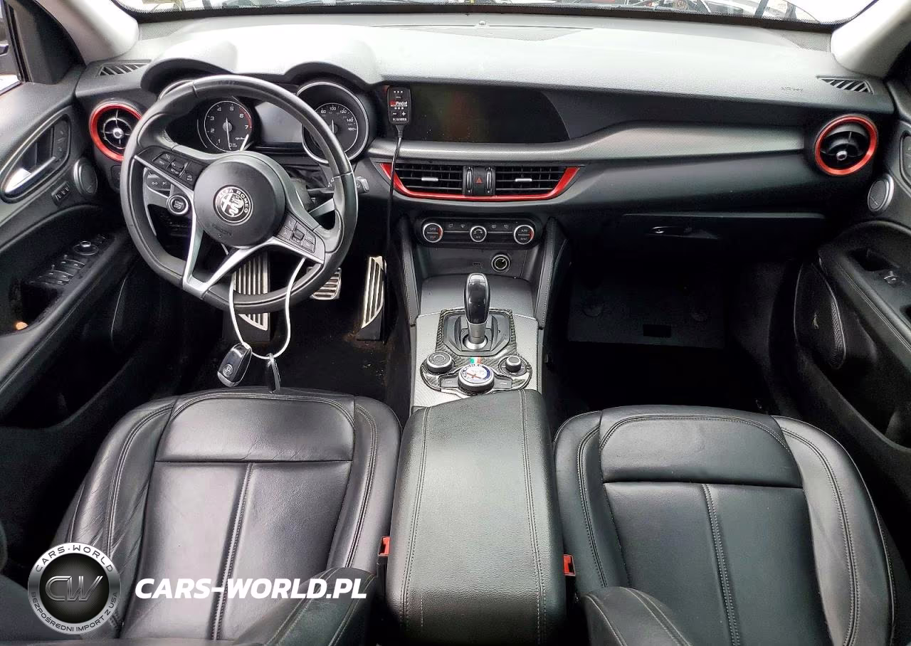 2019 Alfa Romeo Stelvio VIN:ZASPAKAN4K7C38940 - 8