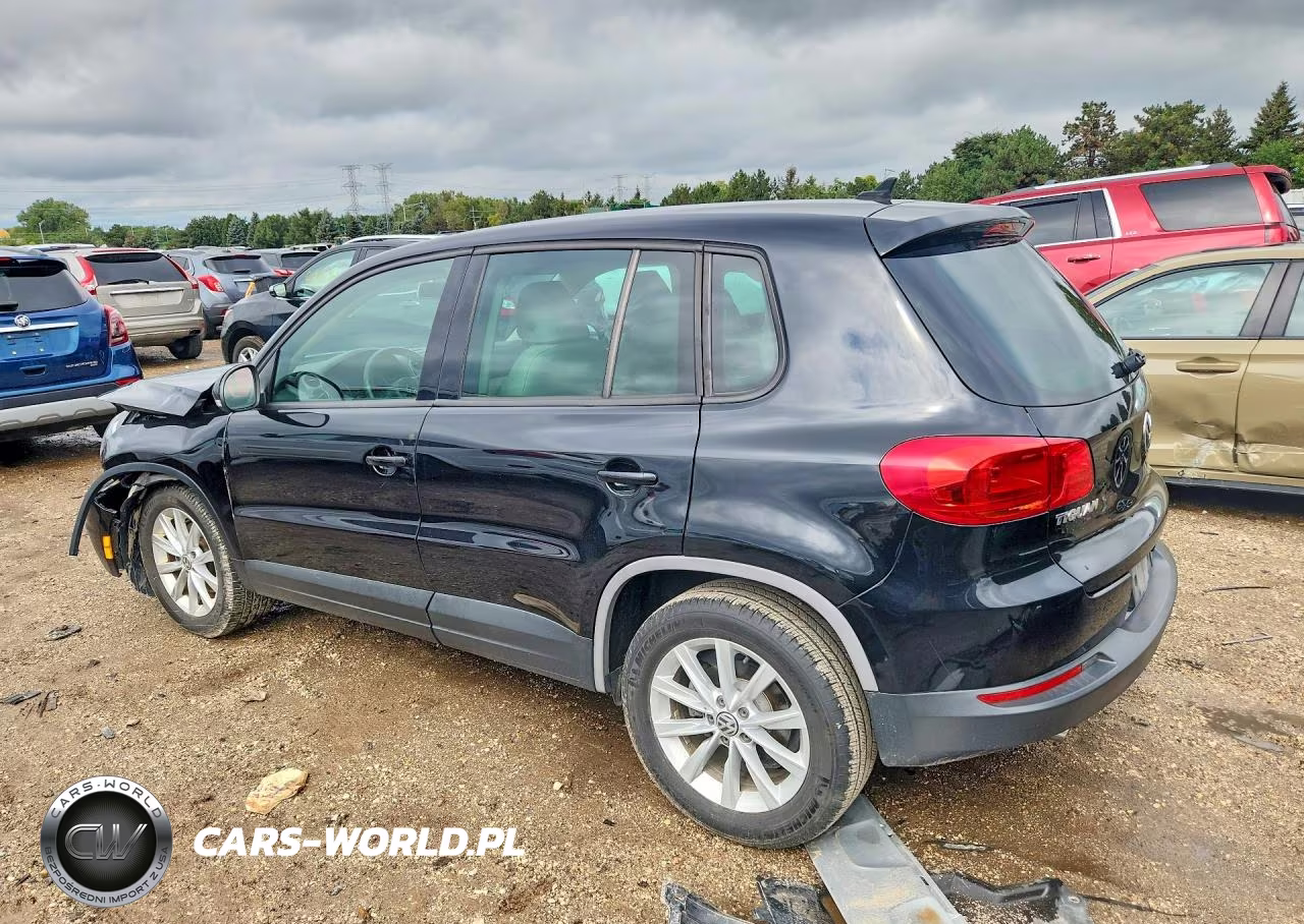 2014 Volkswagen Tiguan S VIN:WVGAV3AX0EW544839 - 2
