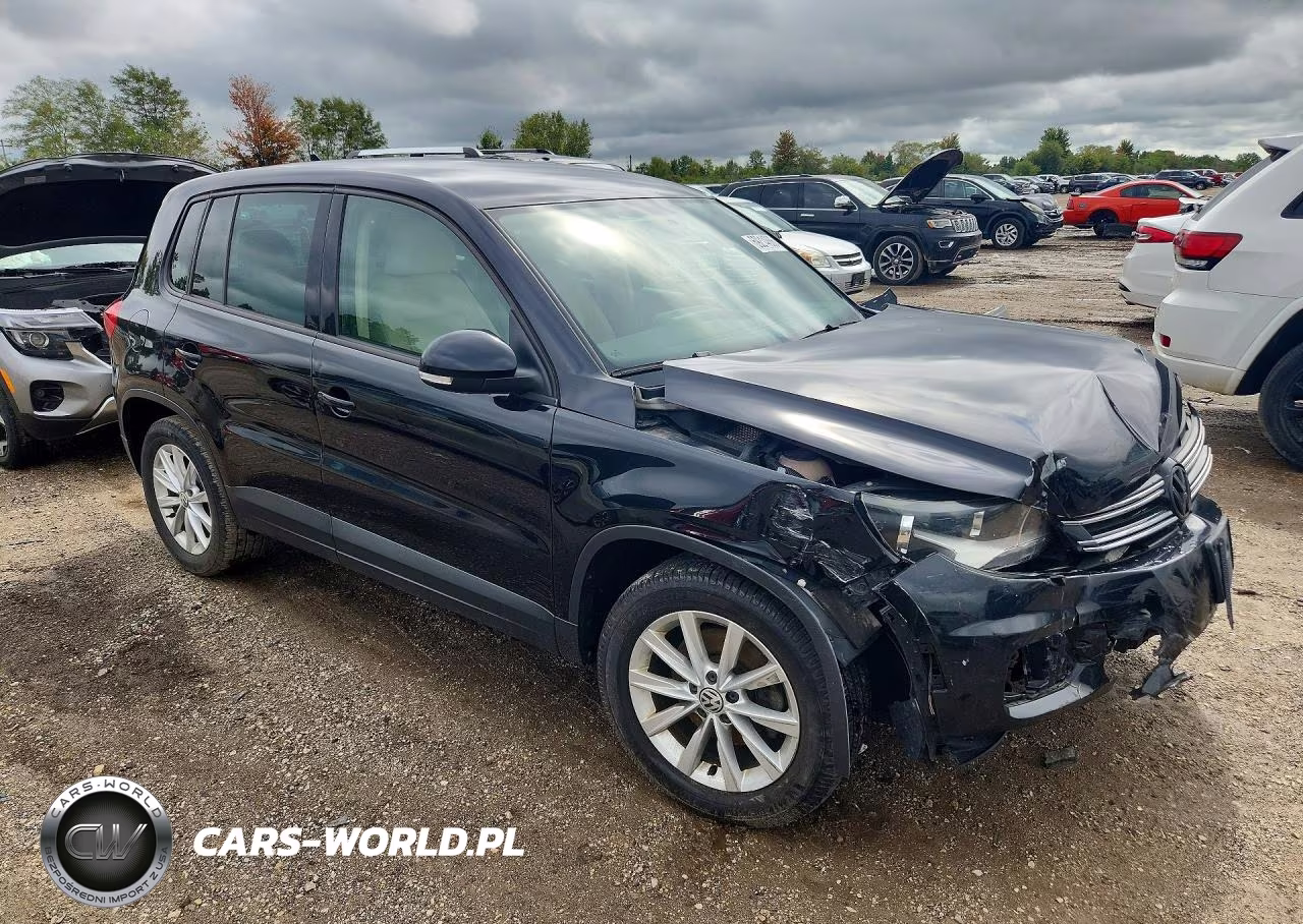 2014 Volkswagen Tiguan S VIN:WVGAV3AX0EW544839 - 4