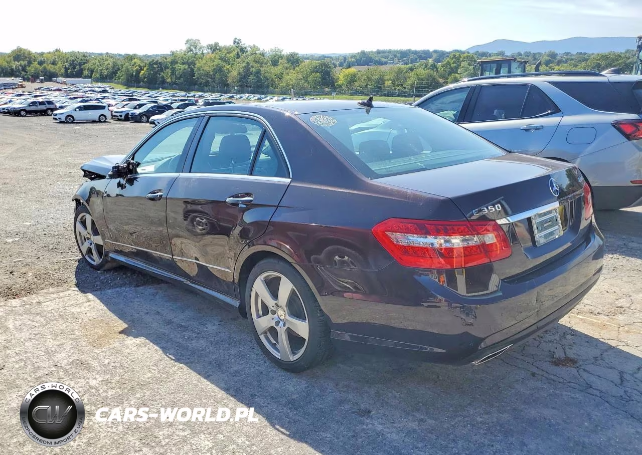 2010 Mercedes-Benz E 350 4Matic VIN:WDDHF8HBXAA124817 - 2