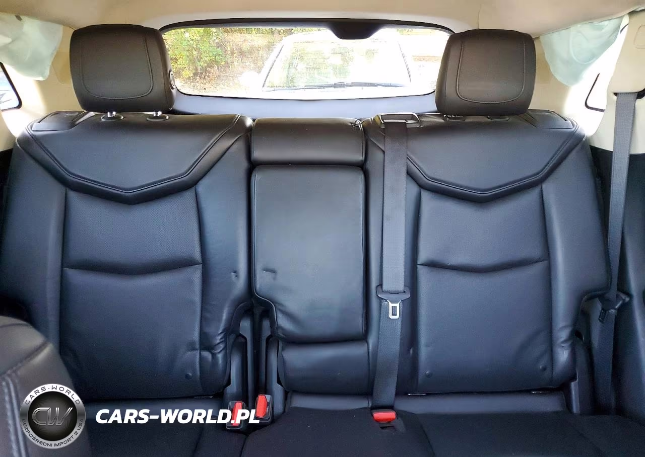2017 Cadillac Xt5 Luxury VIN:1GYKNBRS3HZ123044 - 10