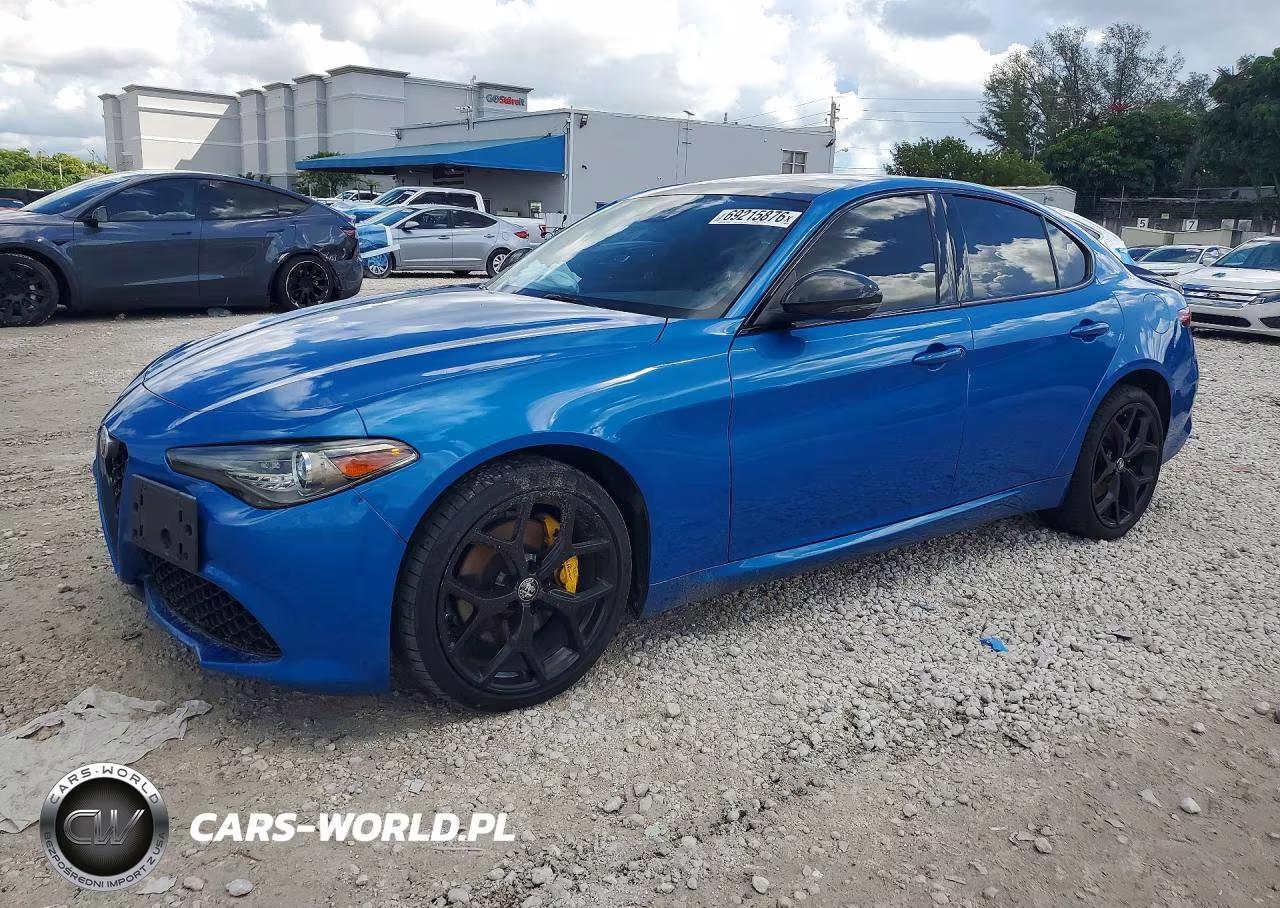2019 Alfa Romeo Giulia VIN:ZARFANAN9K7623390 - 1